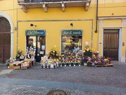 La Mimosa Fiori Snc, Fiorista a Rivoli