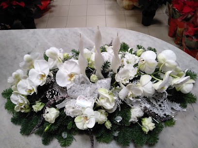 Giannetti Maurizio fioraio, Fiorista a Follonica