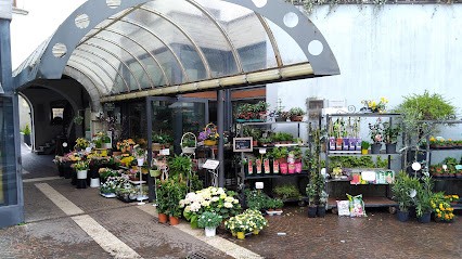 La Serra Fioreria di Farinati Vittorio, Fiorista a Rovereto