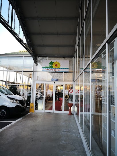 Il Mulino Dei Fiori, Fiorista a Gattinara