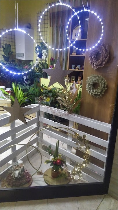 Idea In Fiore di Pace Gina, Fiorista a Filiano