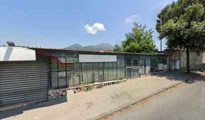 Soc. Coop. Agricola La Partenopea, Fiorista a Ercolano