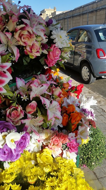 Punto Fiori, Fiorista a Mazara del Vallo