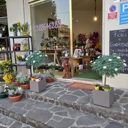Il Giglio, Fiorista a San Paolo d'Argon