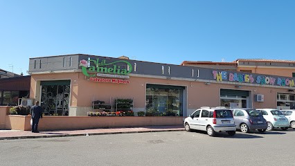 La Camelia Di Migliore Salvatore, Fiorista a Gela