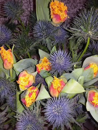 Fiorista Spadaccini, Fiorista a Vasto