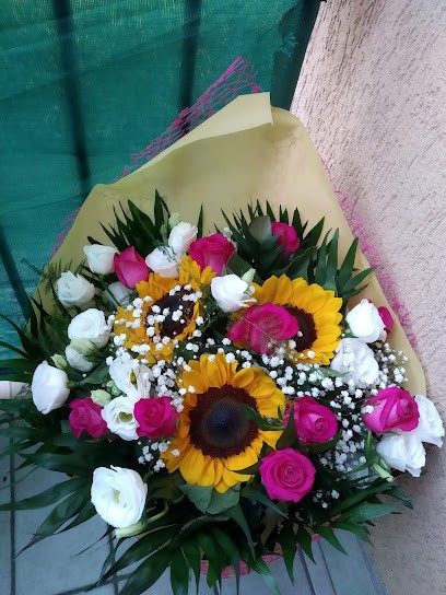 Asciano Fiori, Fiorista a Meda