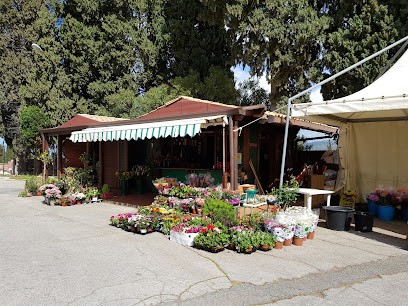 Il Chiosco, Fiorista a Patti