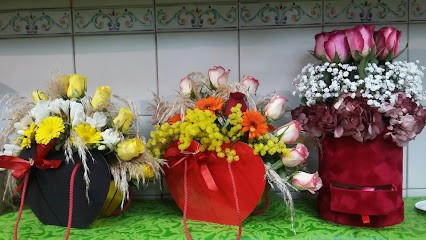 Piante E Fiori Di Genovese Stefania, Fiorista a Napoli