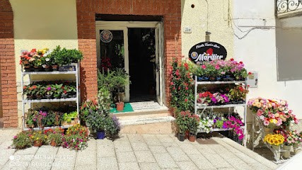 Marifior, Fiorista a Ailano