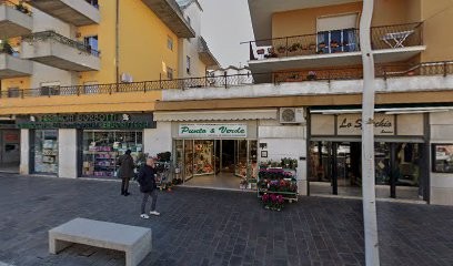 Punto E Verde Di Cristofori Laura, Fiorista a Montalto di Castro