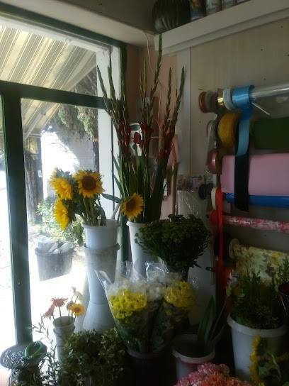 Il Chiosco Delle Meraviglie, Fiorista a Foligno