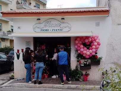 Rosa Di Ursula Evels, Fiorista a Gaeta