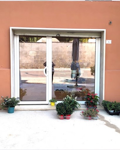 FIORI E PIANTE IL GIARDINO DI MANI', Fiorista a Bassano Romano