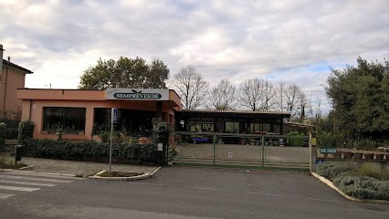 Sempreverde Di Fabbri Gianluigi, Fiorista a Savignano sul Rubicone