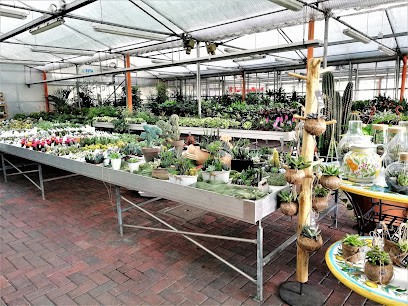 Serra Angolo Verde, Fiorista a Oltrona di San Mamette