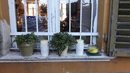 Fiori E Piante Bossi Giuseppe & C., Fiorista a Settimo Torinese