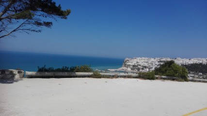 Salaria Garden Di Pandolfi Mirko & C. Snc, Fiorista a Montelibretti