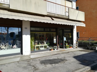 Bottega Di Luci, Fiorista a Dueville