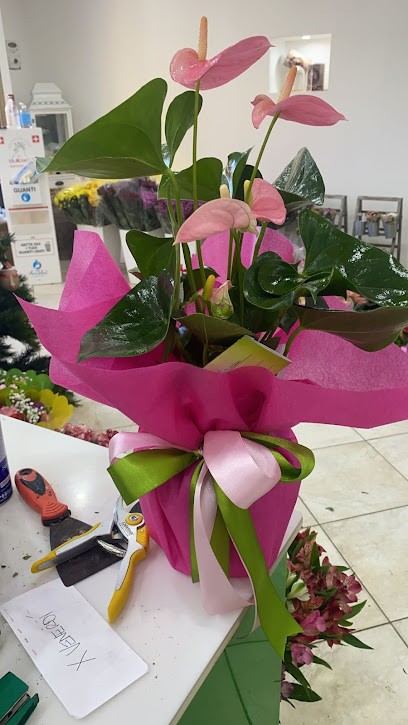 Onoranze Funebri Cuccu - La Fioreria, Fiorista a Gonnesa