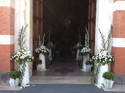 Harmony Fiori E Piante, Fiorista a Paternò