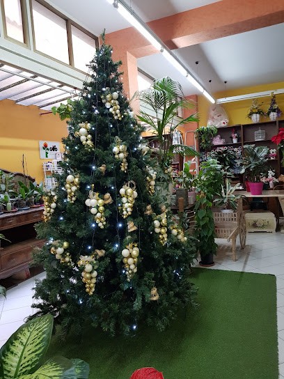 Eden Societa Cooperativa Agricola, Fiorista a Licata