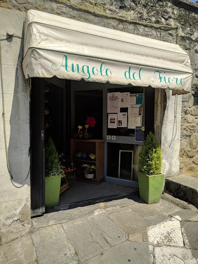 Angolo Del Fiore, Fiorista a Loro Ciuffenna