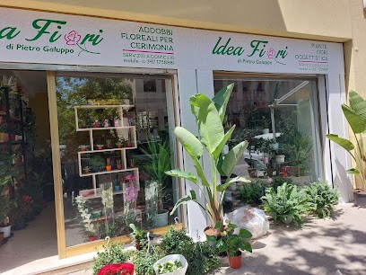 Idea Fiori Di Galuppo Pietro, Fiorista a Trapani