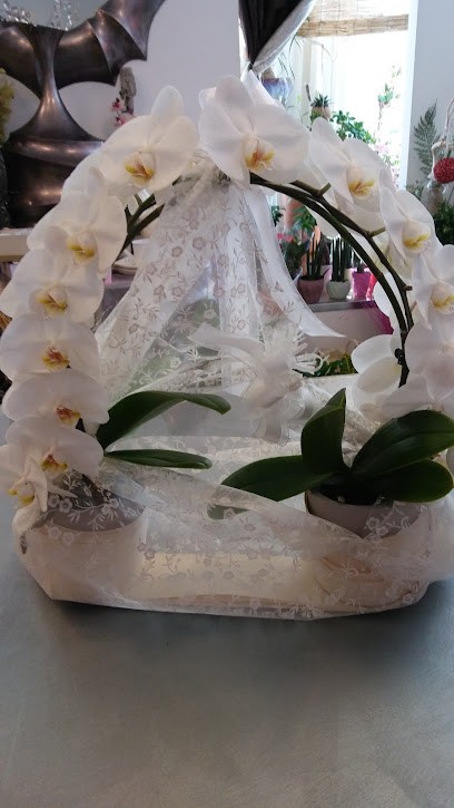 Il Giardino Segreto Di Conti Rosanna, Fiorista a Monte Urano