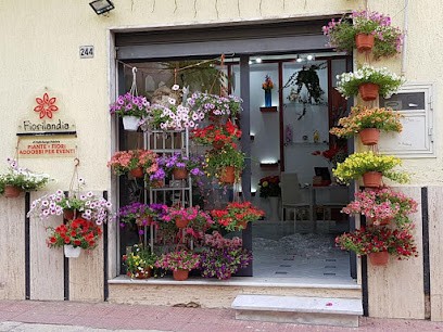 FIORILANDIA, Fiorista a Trabia