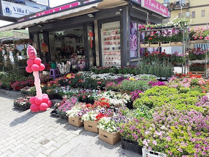 I Fiori Di Angela, Fiorista a Mercogliano
