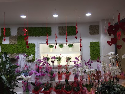 Fioreria Lellofiori, Fiorista a Grosseto