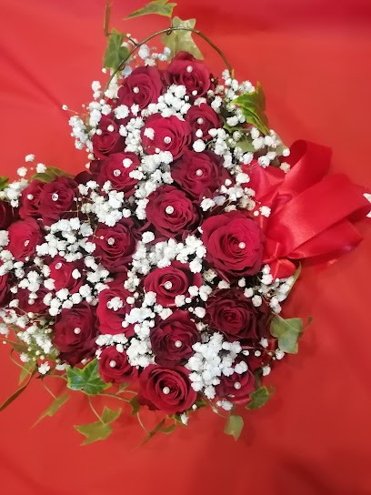 Il Giardino Segreto, Fiorista a Ancona