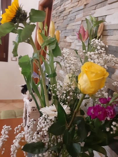 Fiorista, Fiorista a Cesano Maderno