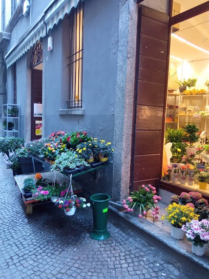 Il Frutteto, Fiorista a Bellano
