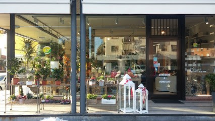 Fioreria Rosa, Fiorista a Torri di Quartesolo