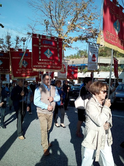 Ciccioli Carla, Fiorista a Loro Piceno