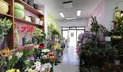 Nachira Fiori Uggiano La Chiesa E Palmariggi, Fiorista a Uggiano la Chiesa