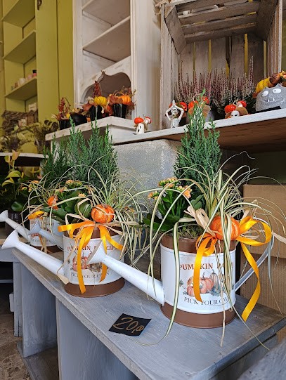 La Stella Alpina, Fiorista a Prato