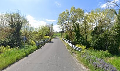 Fiori E Piante Di Capecci Michele E C.Snc, Fiorista a Montemarciano