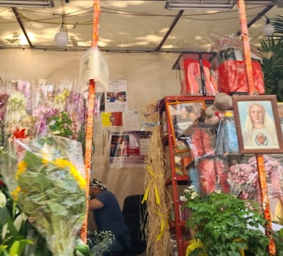 I Fiori Di Santa Maria, Fiorista a Roma