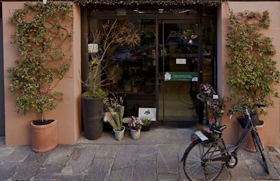 Treehouse, Fiorista a Piacenza