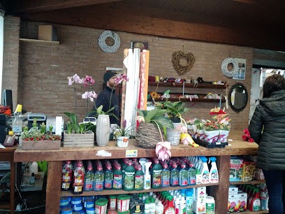 Fioreria Bressan, Fiorista a Lonigo