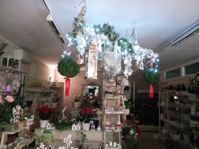 Crema Romina Di Rossi Adriano, Fiorista a Viadana