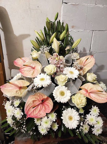 Spazioverde Addobbi E Composizioni Floreali Di Giraldi Rosamaria, Fiorista a Orbassano