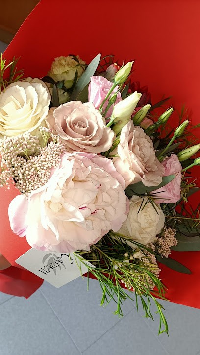 Carmen Fiori E Piante, Fiorista a Frattamaggiore