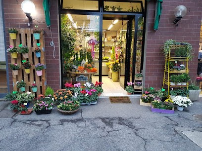 Mughetto Di Martina Pacini, Fiorista a Sesto Fiorentino