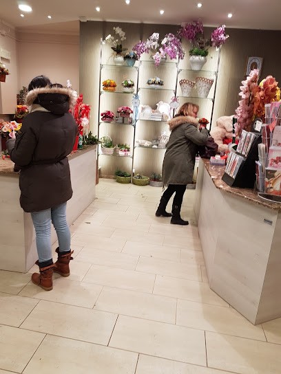 Fiori Da Elena Di Pinzi Sara, Fiorista a Siena