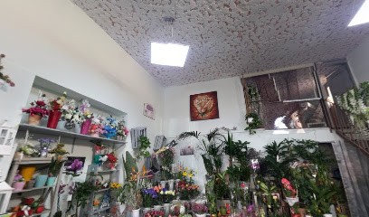 Il Miglio Verde Snc, Fiorista a Villarosa