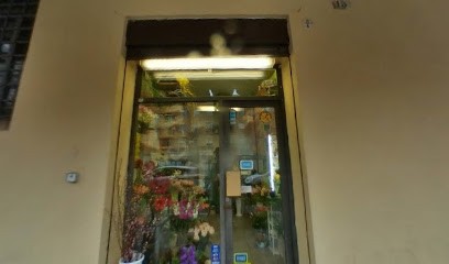 La Fiorita, Fiorista a Bologna